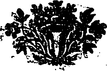 112/112370030102170_0.png