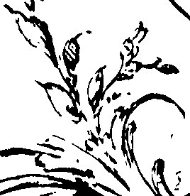 112/112440010100110_1.png