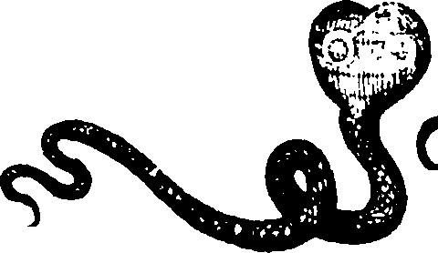 112/112440010105010_1.png