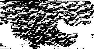 112/112440010204120_0.png