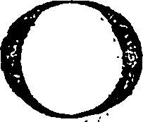 112/112510030000030_4.png