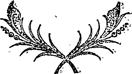 112/112750240000360_0.png