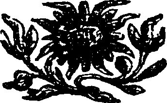 112/112870020102400_0.png