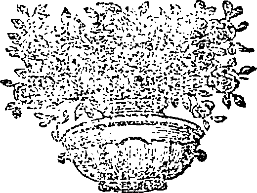 112/112950100200010_0.png