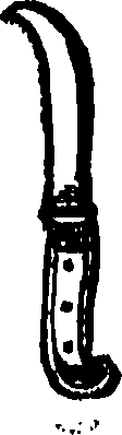 113/113040100001790_0.png
