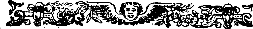 113/113080010202960_0.png