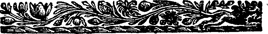 113/113110040000080_0.png