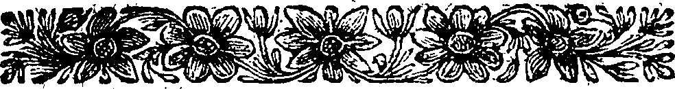 113/113110040001590_0.png