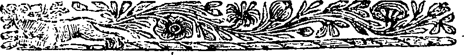 113/113110040001650_0.png