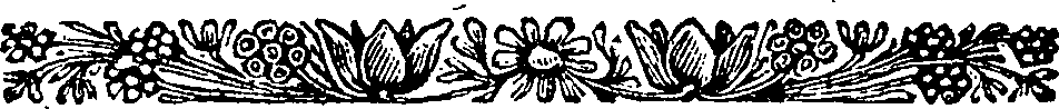 113/113110040001950_0.png