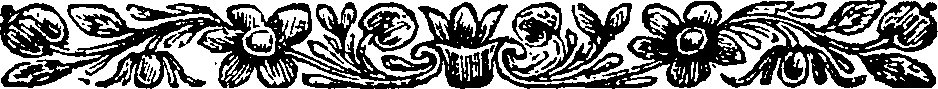 113/113110040001990_0.png