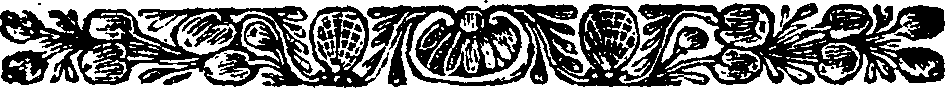 113/113110040001990_1.png