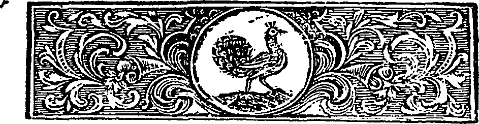 113/113120040000030_1.png