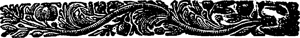 113/113120040000750_0.png