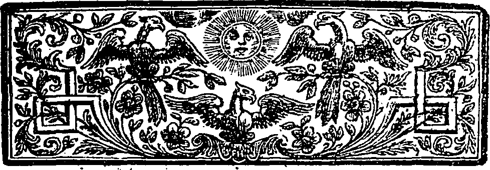 113/113120040000810_2.png