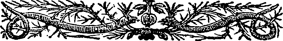 113/113120040001750_1.png