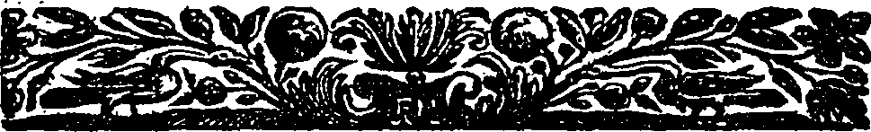 113/113120040003980_1.png