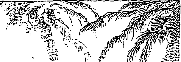 113/113120060000010_0.png