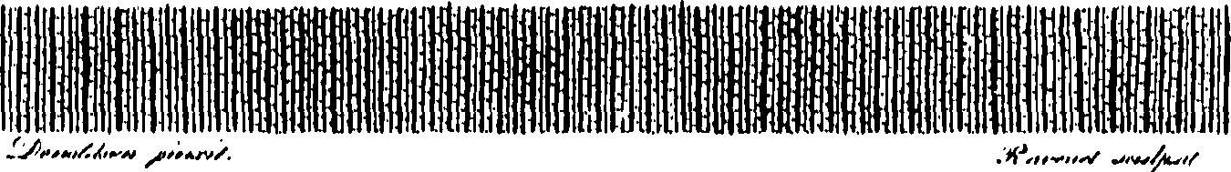 113/113150010100020_0.png