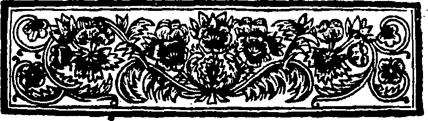 113/113170020101980_1.png