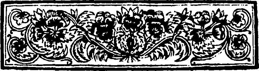 113/113170020202000_1.png