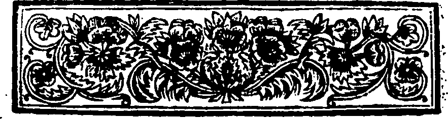 113/113170020202170_1.png