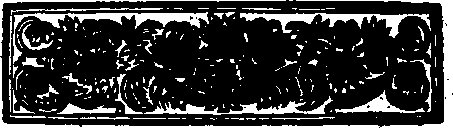 113/113170020202390_1.png