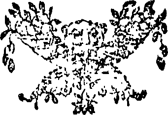 113/113180100000230_0.png