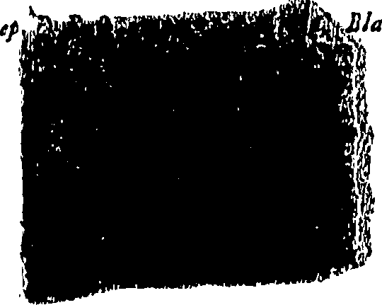 113/113240010504870_0.png