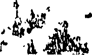 113/113260190000460_0.png