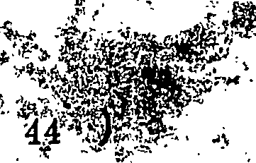 113/113260190000470_0.png
