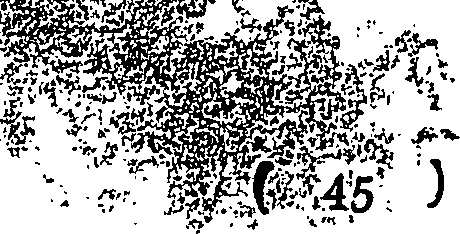 113/113260190000480_0.png