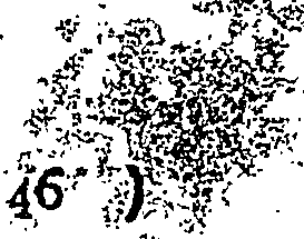 113/113260190000490_0.png