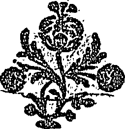113/113270020000020_0.png