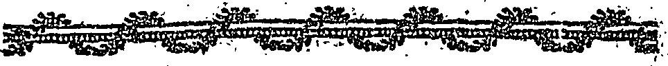 113/113270020001320_0.png