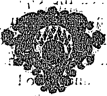 113/113270030000570_0.png