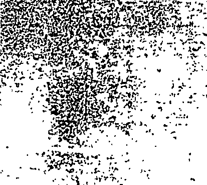 113/113280030000010_1.png