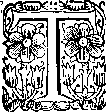 113/113300020000220_0.png