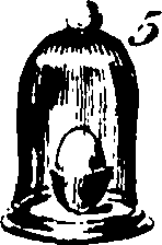 113/113320050000410_5.png