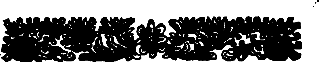 113/113320140000020_1.png