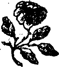 113/113360030000450_0.png