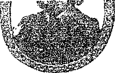 113/113360070000010_0.png