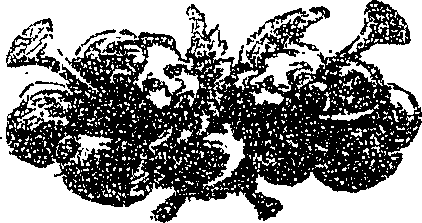 113/113360070000690_1.png