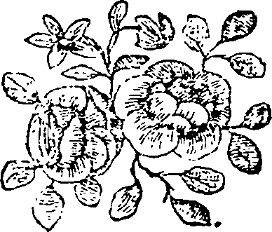 113/113410250000080_0.png