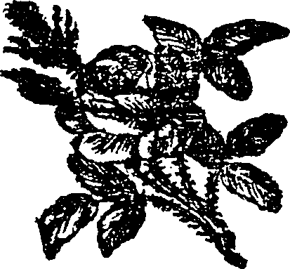 113/113410250000680_0.png