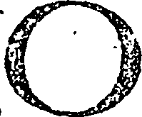 113/113430170000170_0.png