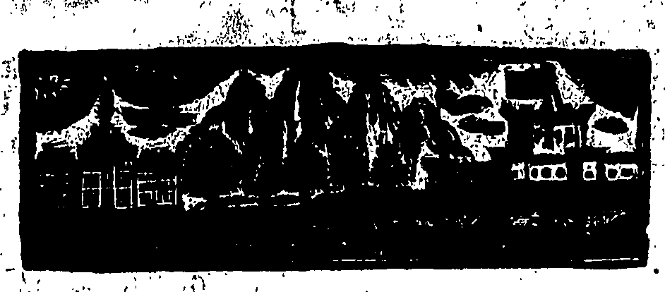 113/113490030000020_2.png