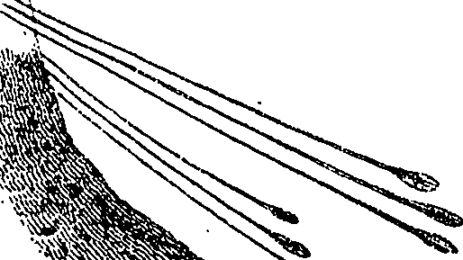113/113500090102480_0.png