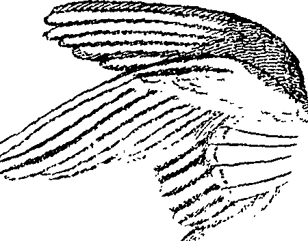 113/113500090102940_0.png