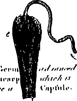 113/113500090103610_0.png